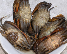 Frozen Soft Shell Crab