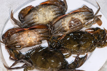 Frozen Soft Shell Crab
