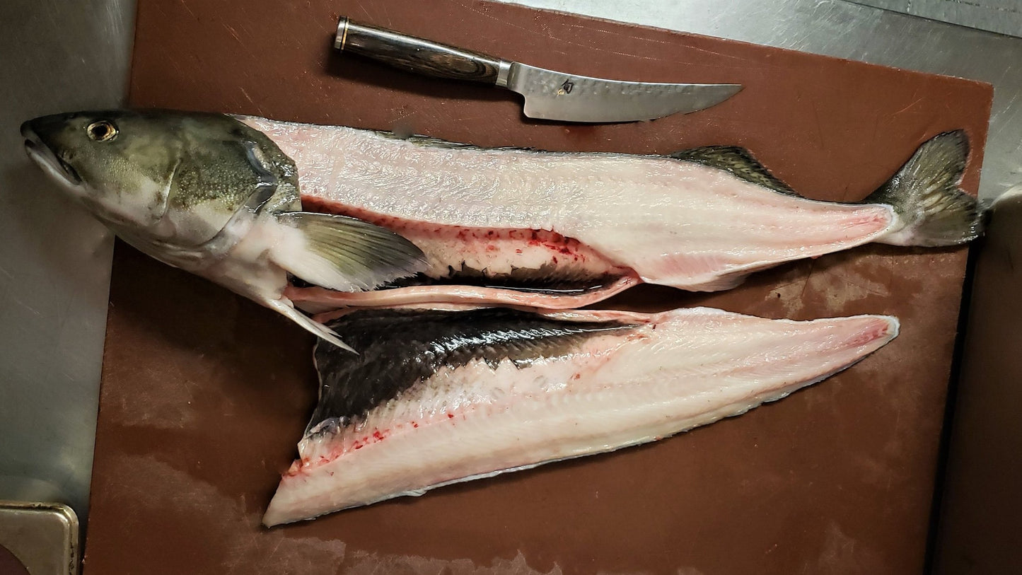 Frozen Wild Black Cod (Sablefish)