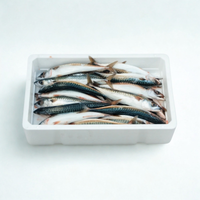Bulk Fresh Boston Mackerel - 10 Lb