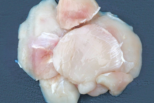 East Coast Halibut Cheeks