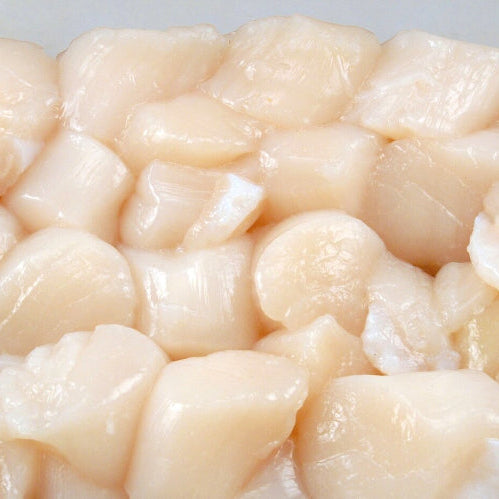 Fresh scallops