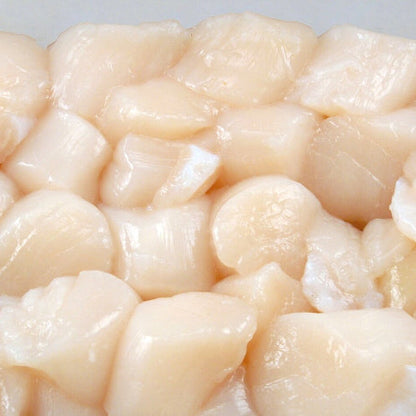 Fresh scallops