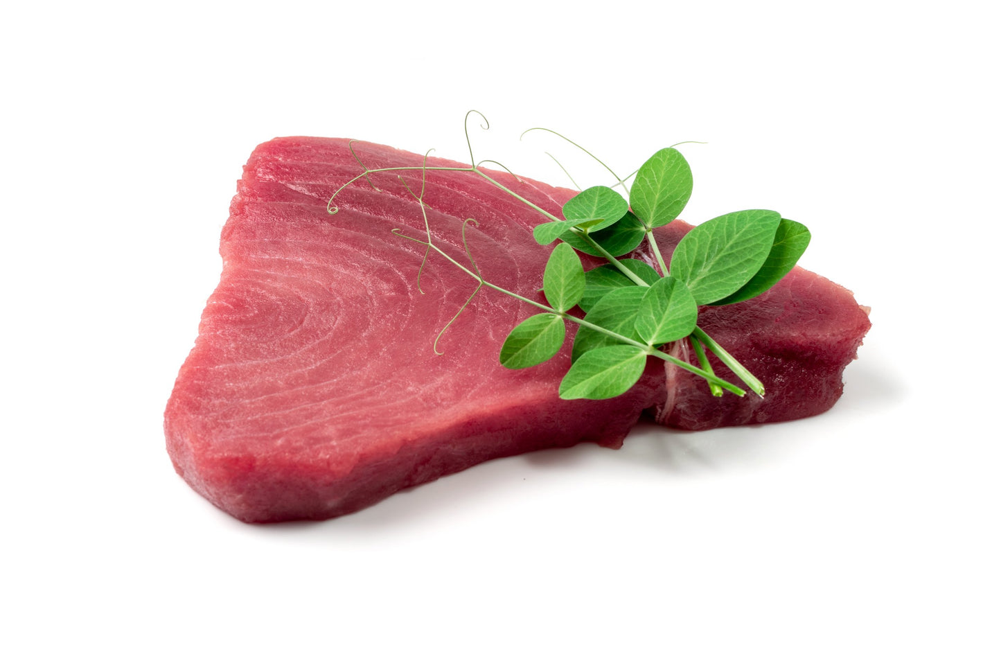 Frozen Atlantic Bluefin Tuna Steaks