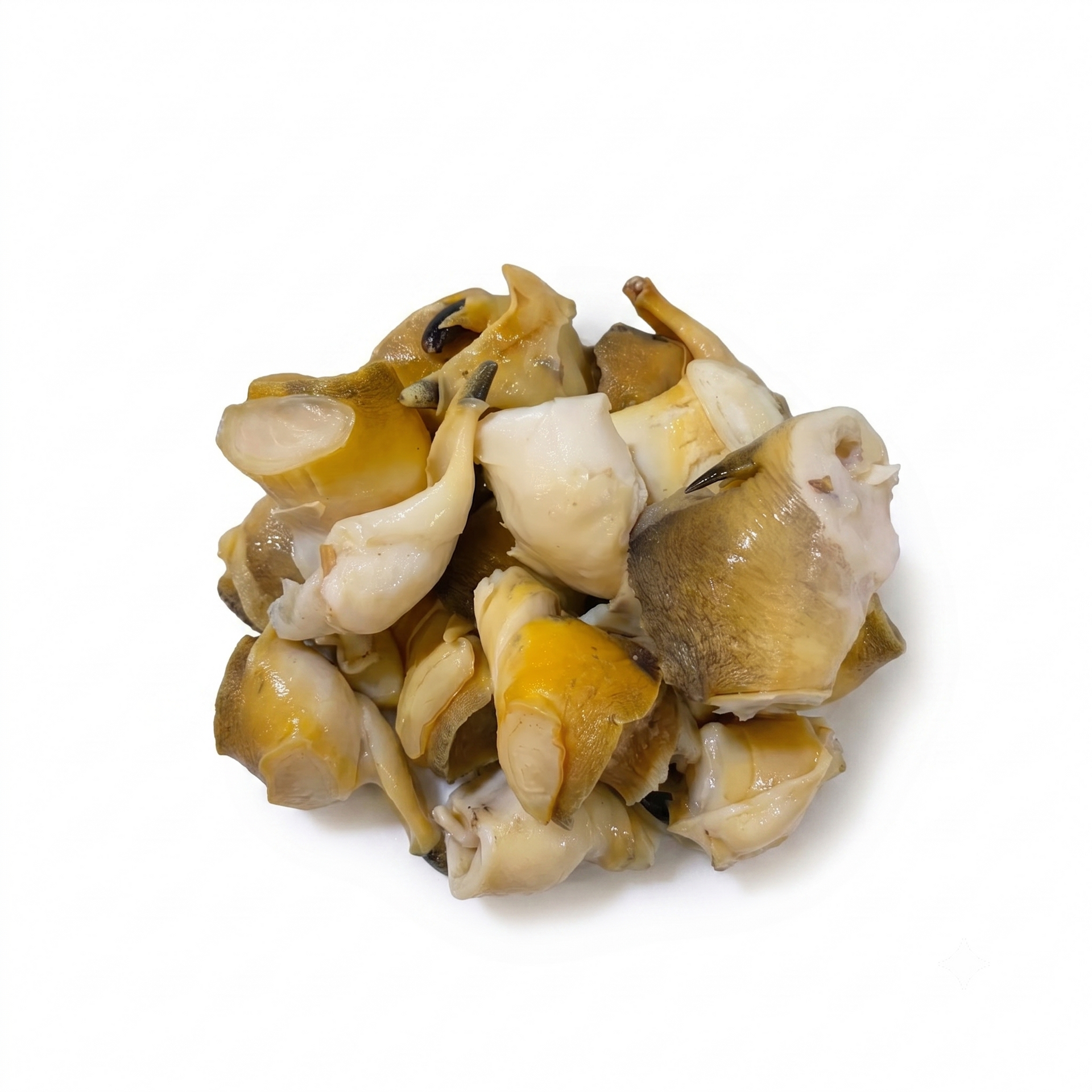 熟响螺肉（Scungilli）——鲜嫩可即食| Intershell Seafood – Intershell