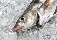 Fresh Whole Haddock