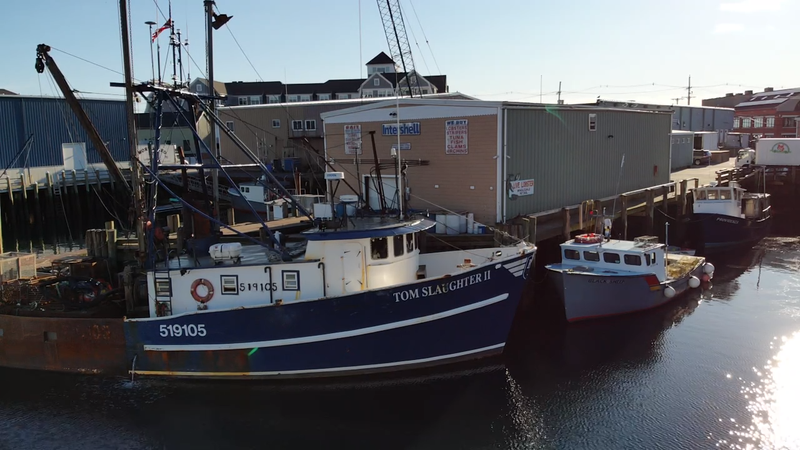 Seafood Banner