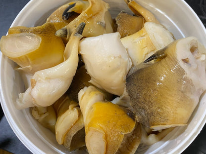 Carne de caracol cocida (Scungilli)