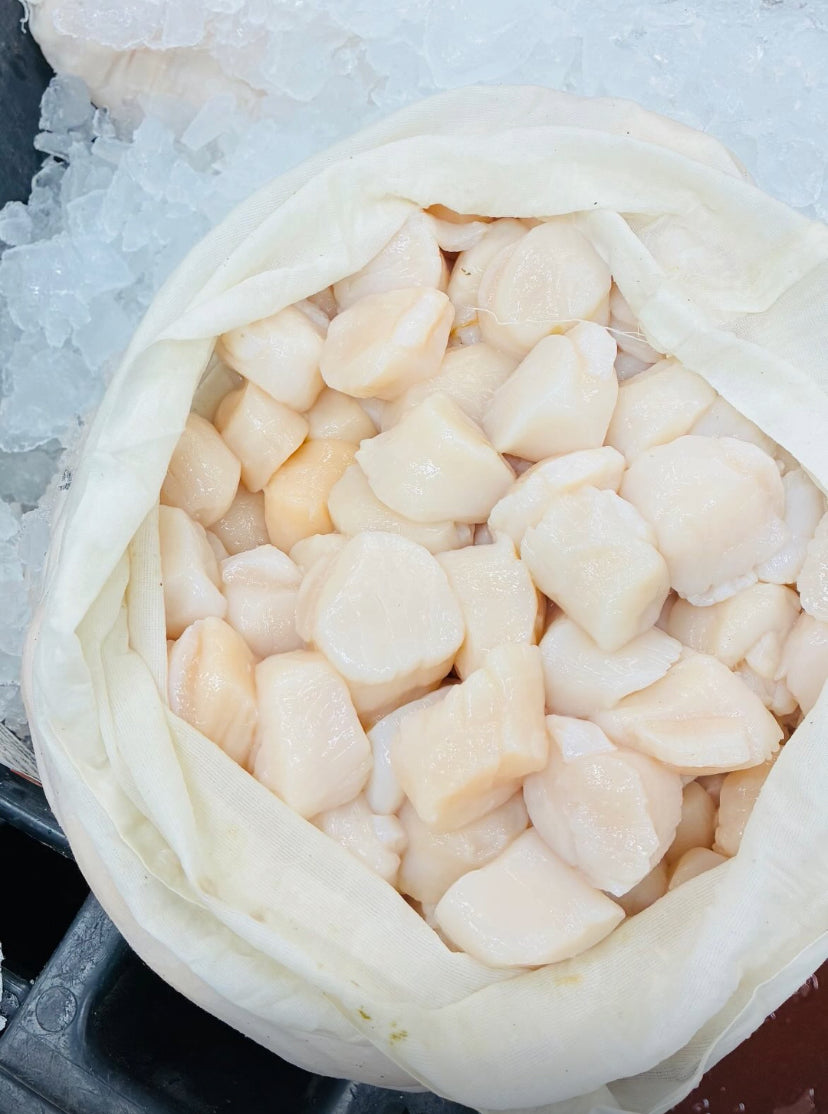 Fresh Atlantic Scallop Meat