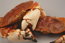 Live Jonah Crab