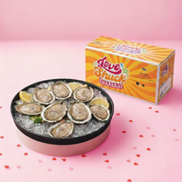 Love Shuck Oysters - Valentine's Day Special 25 Pieces