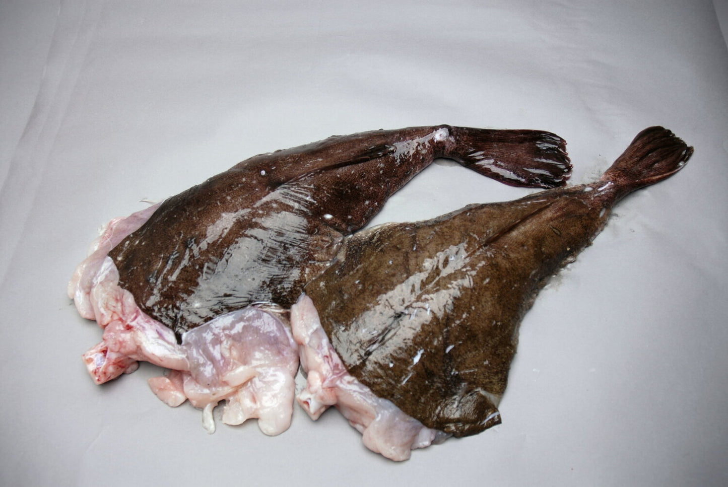 Fresh Monk Fish Tails