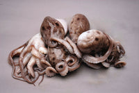 Whole Portuguese Octopus