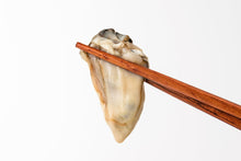 Frozen Shucked Oyster Meat 1 Lb