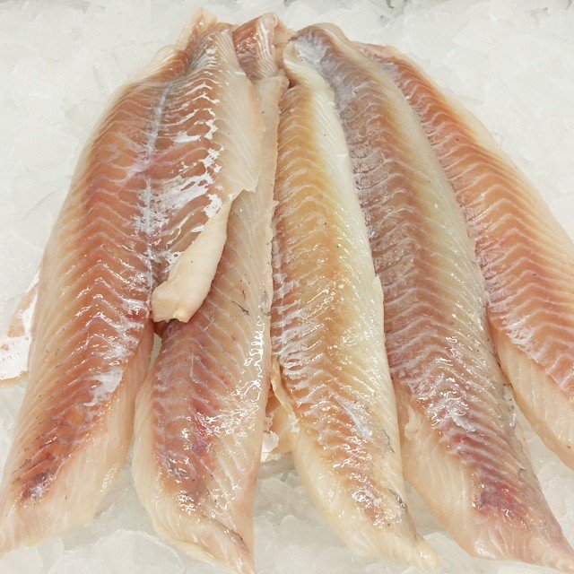 Pollock Cod Fillet Fresh Pollock Fillets | 10lb Bulk Unit | Wild-Caught North Atlantic ...