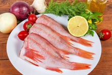 Perca fresca del Atlántico Norte – Pez rojo