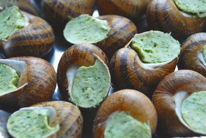 French Escargot - Nomade des Jardins