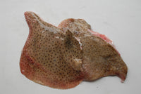 Whole Skate Wings - Bone In