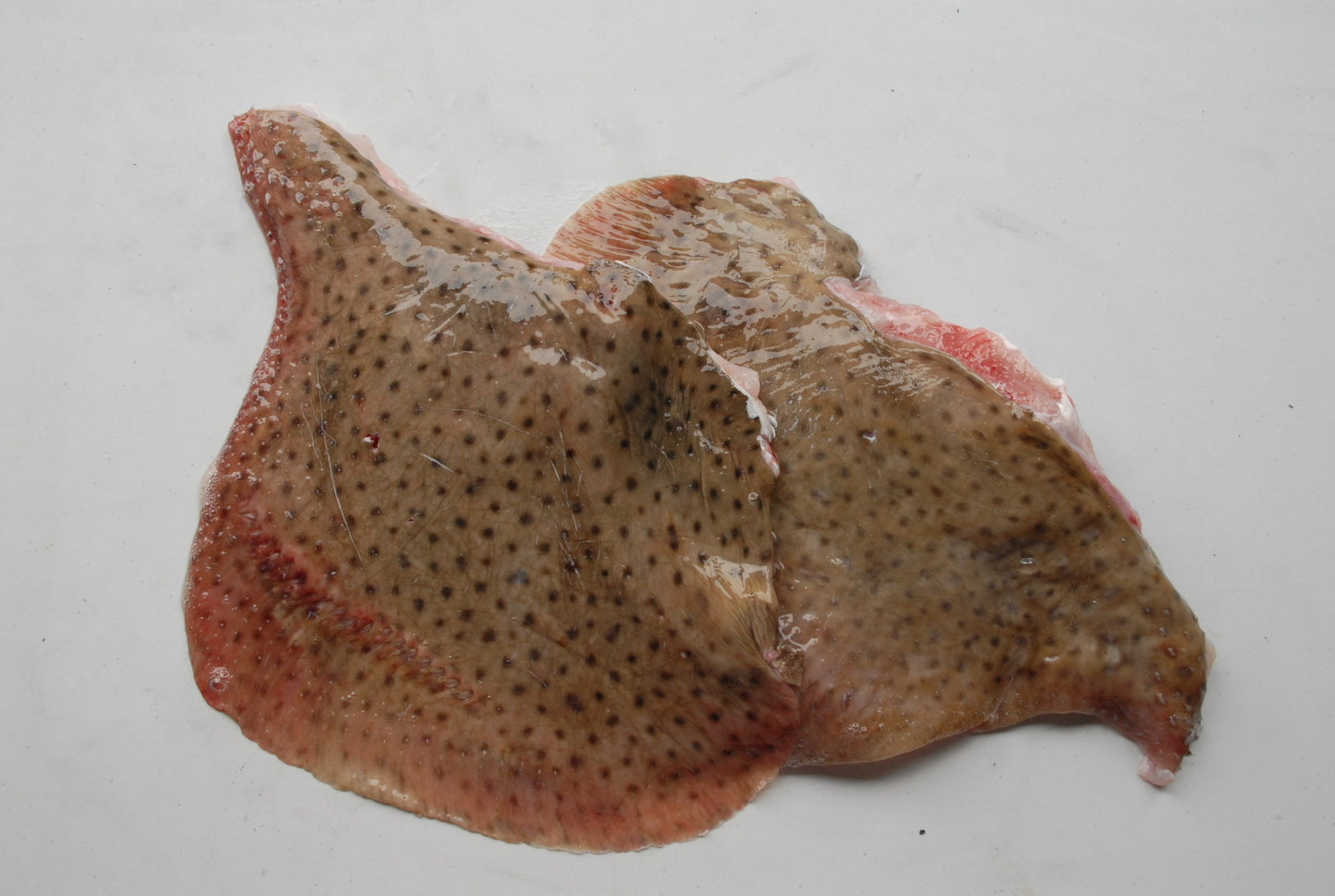 Frozen Skate Wing Fillets