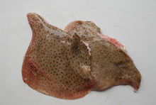 Frozen Skate Wing Fillets