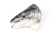 Cabezas de salmón fresco