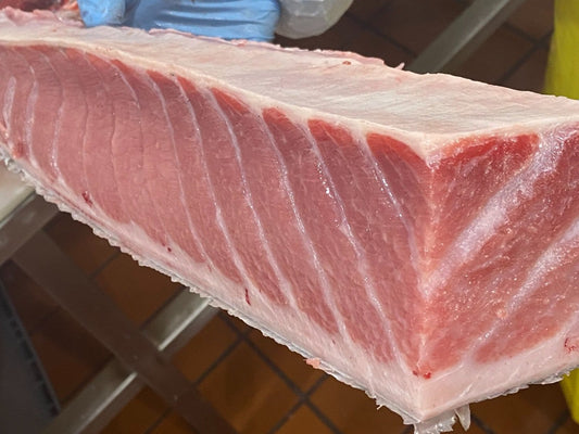 Fresh Atlantic Bluefin Toro - Bluefin Tuna Belly Fat