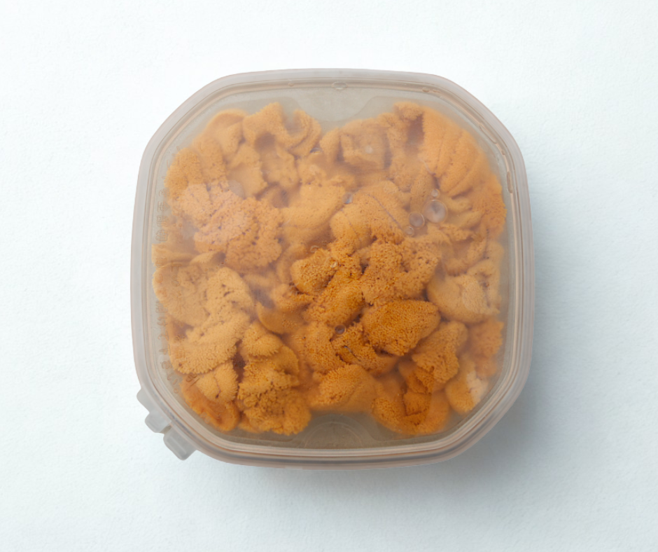 Uni With Shell Fresh East Coast Green Sea Urchin Roe (Uni) - Hand-Harvested ...