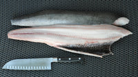 Frozen Wild Black Cod (Sablefish)