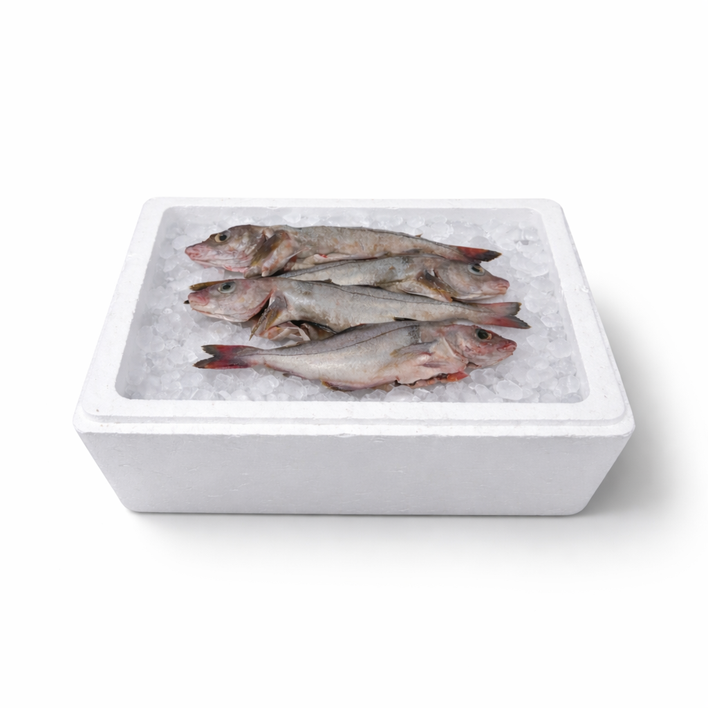 whole haddock  white fish