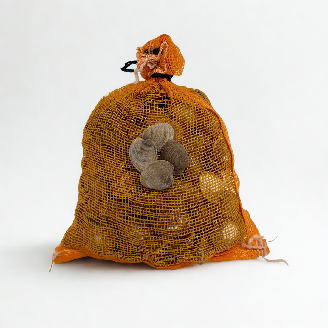 Bag of live cherrystone clams