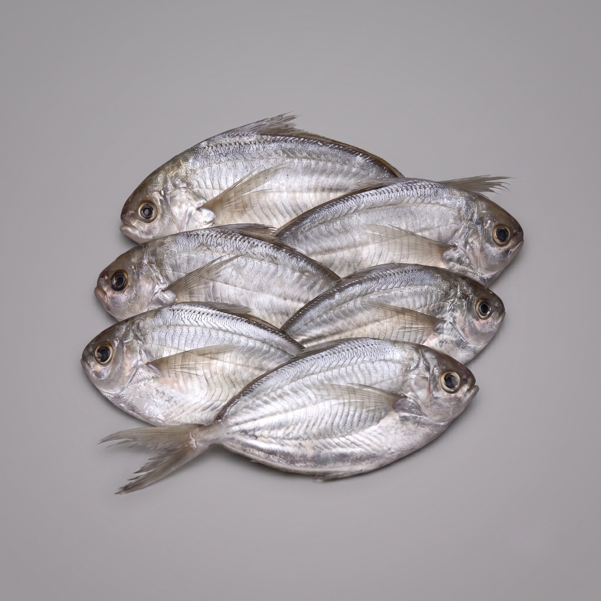 fresh whole butterfish