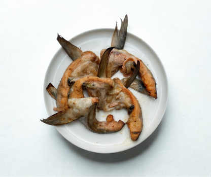 冷冻鰤鱼颈肉 - 黄尾鰤鱼