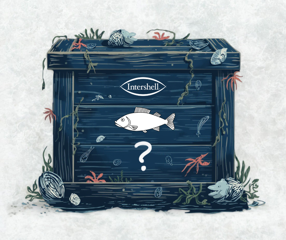 mystery seafood box
