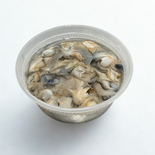 freshly shucked oyster meat