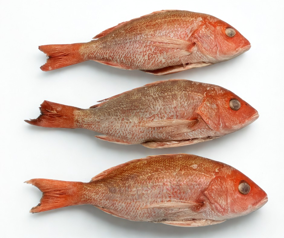 frozen red fish