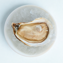 shucked oyster ready to eat