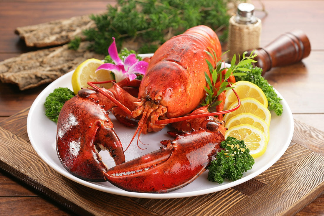 Intershell Seafood 的大型活龙虾