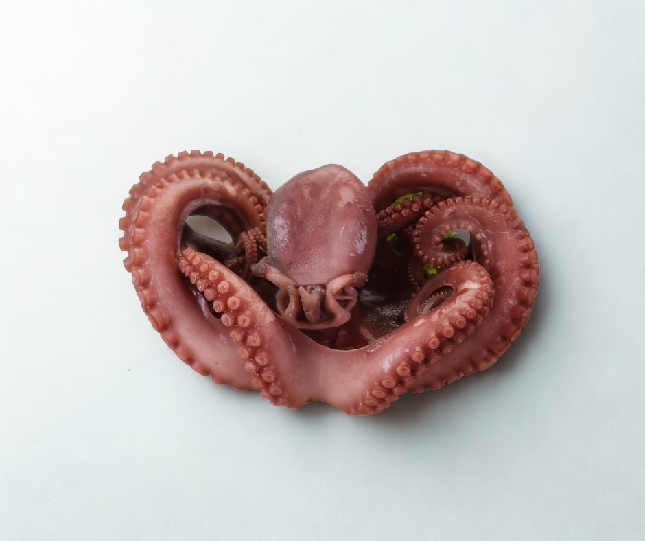 Japanese Cooked Tako Octopus - Ready-to-Eat Whole Octopus – Intershell ...