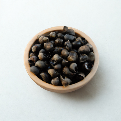 periwinkles black