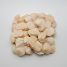 scallop meat