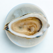 raw bar oyster on 1/2 shell