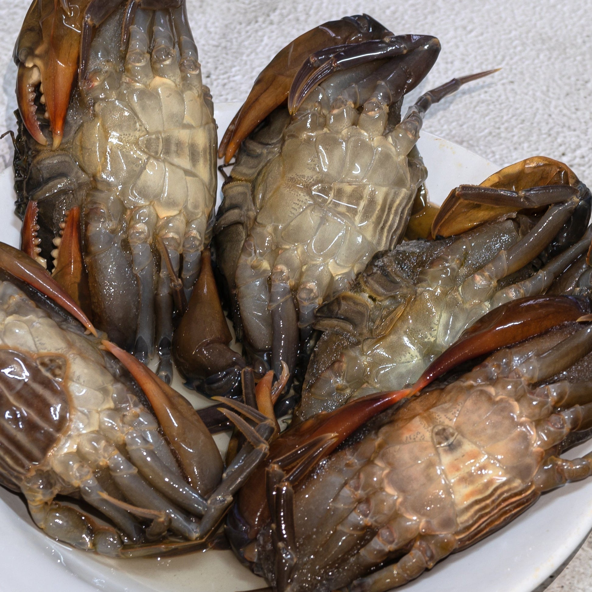 soft shell crabs ready to eat