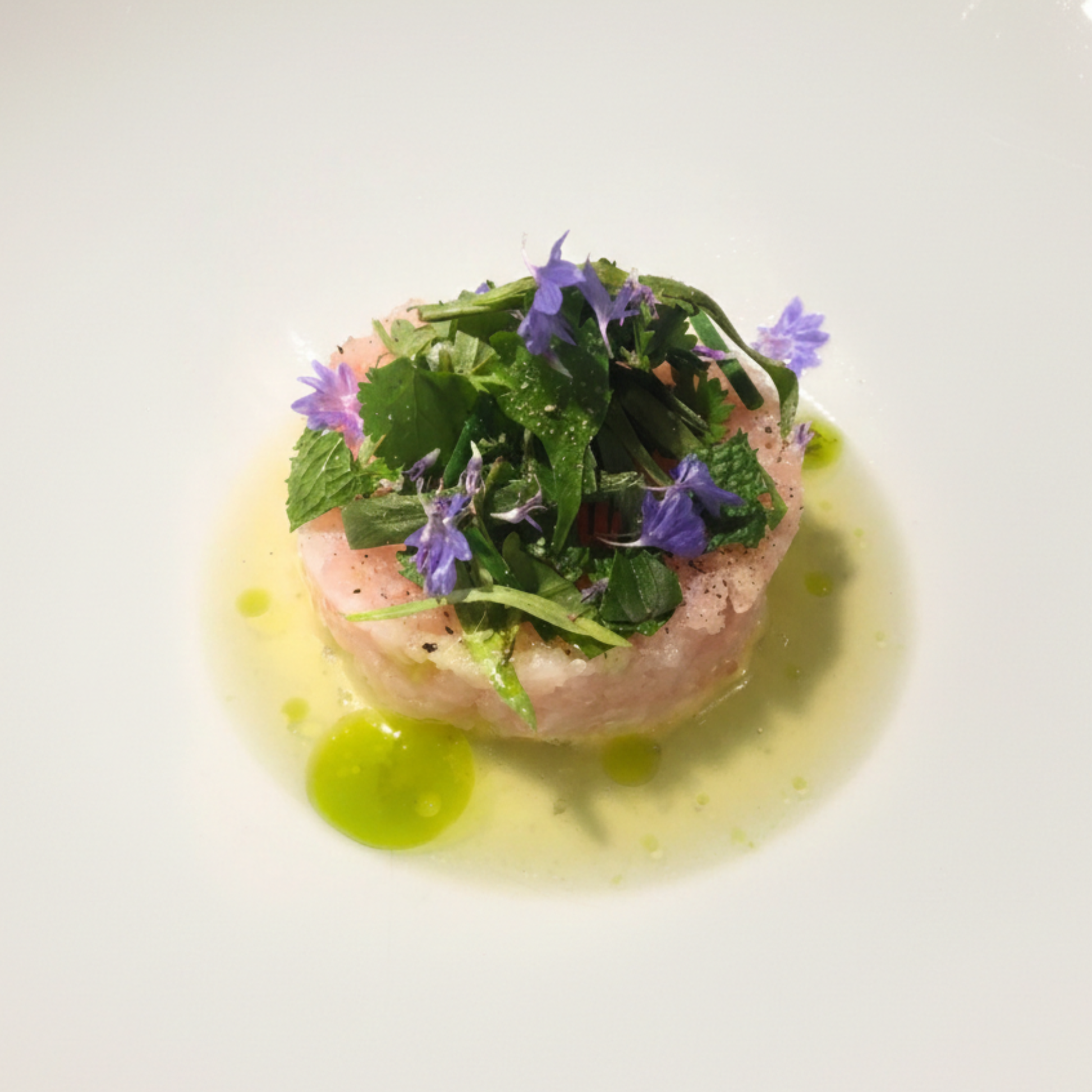 crudo striped bass fish