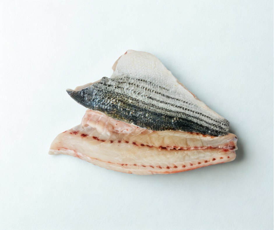 Stripe bass fillet 