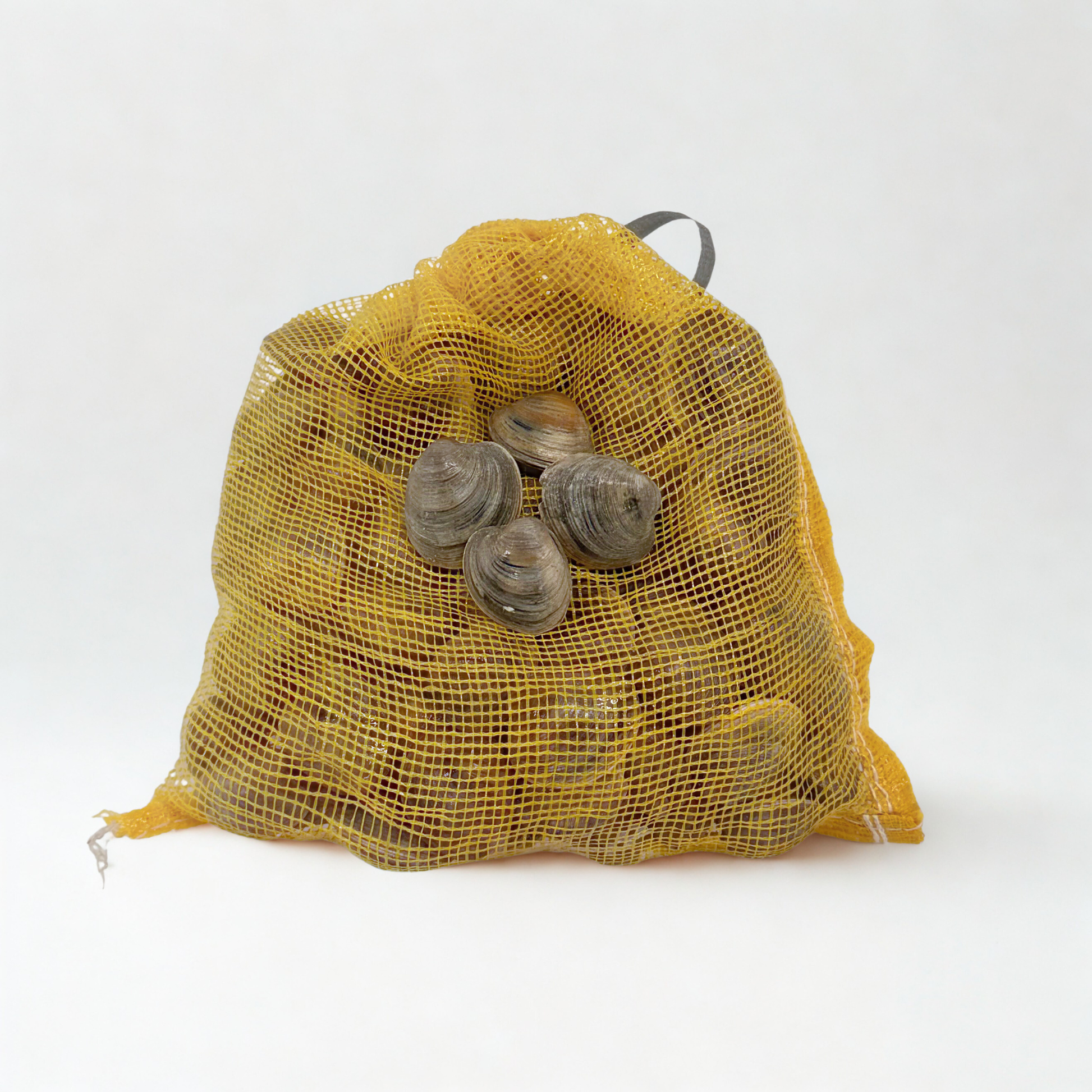 bag of hardshell topneck clams