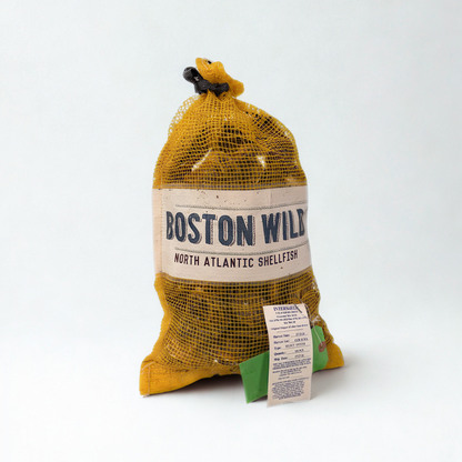 bag of oysters